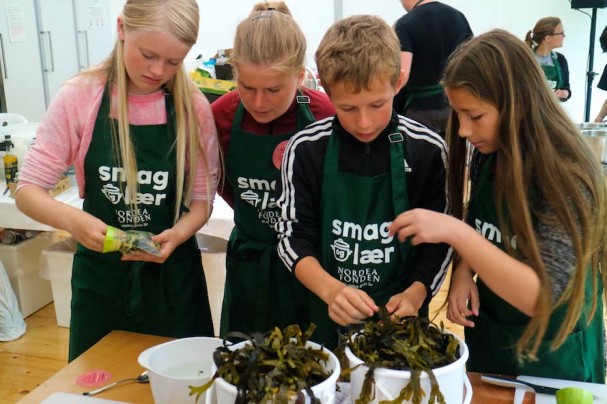 Fig. 5 Schoolchildren at a folk festival in Denmark preparing bladder wrack for use in a seaweed salad (Photo: Marianne Løth Pedersen, Nordea-fonden) 