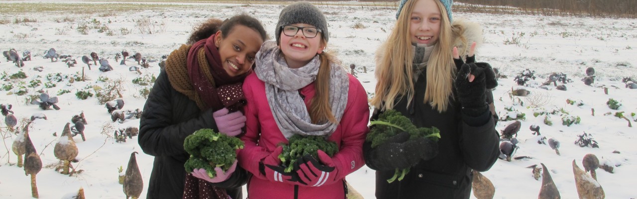 Curiosity can be key for having school children taste something new. Photo: Anne Bech